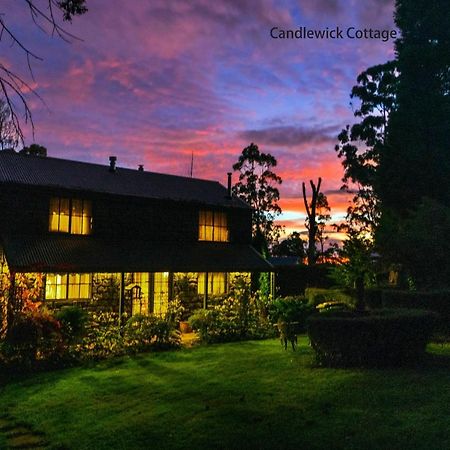 Observatory Cottages Mount Dandenong Exterior foto