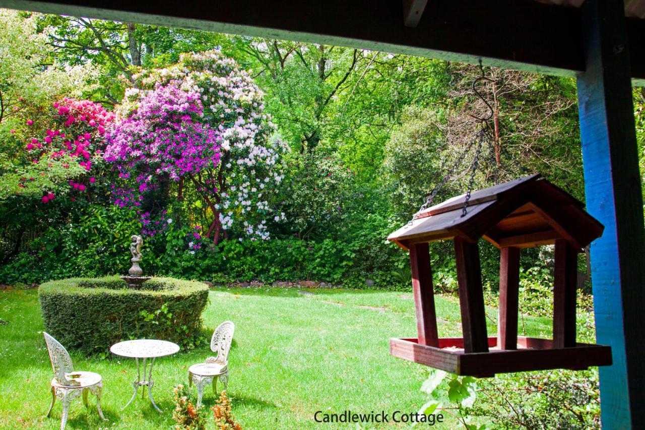 Observatory Cottages Mount Dandenong Exterior foto