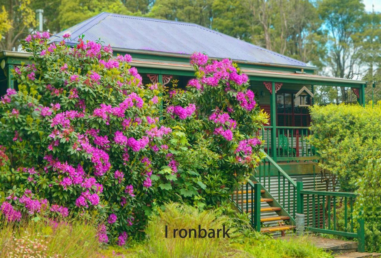 Observatory Cottages Mount Dandenong Exterior foto