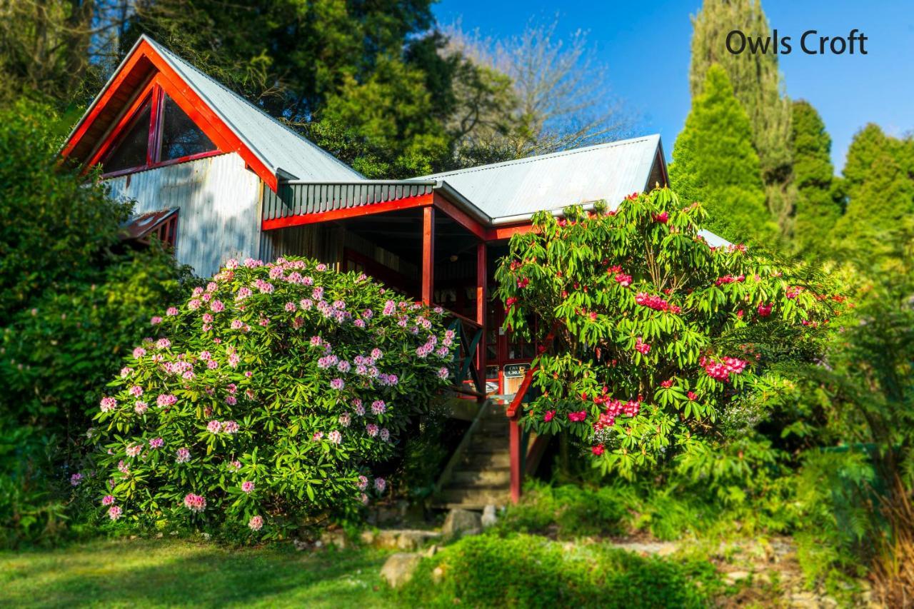Observatory Cottages Mount Dandenong Exterior foto