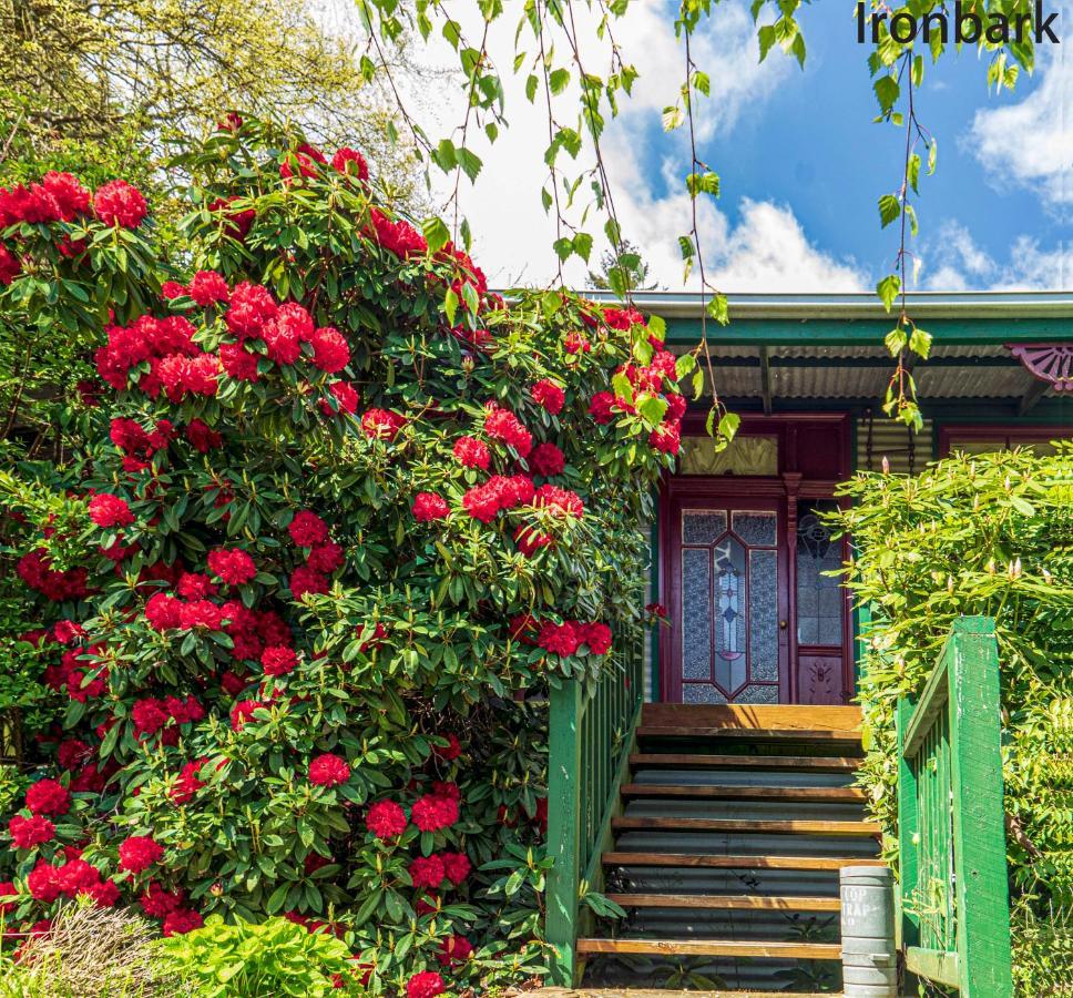 Observatory Cottages Mount Dandenong Exterior foto
