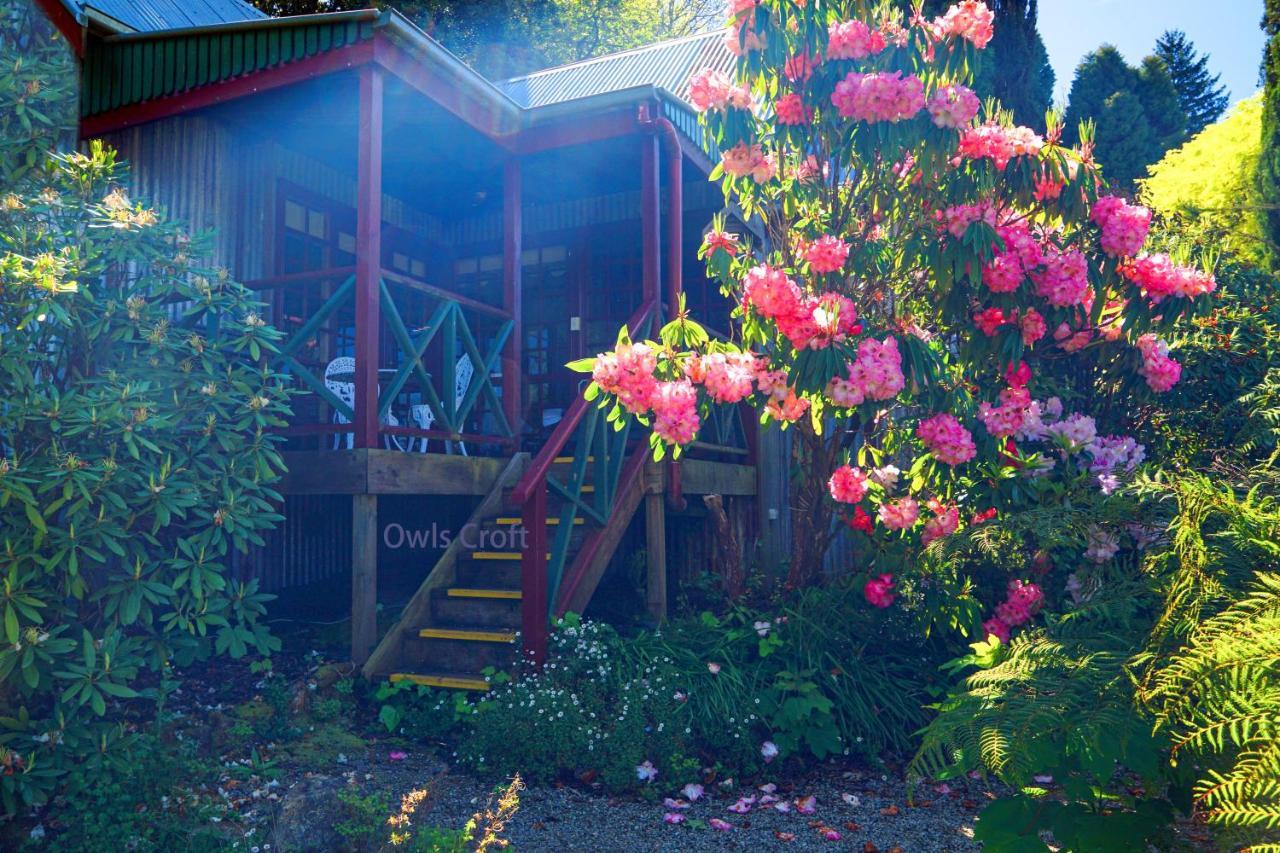 Observatory Cottages Mount Dandenong Exterior foto