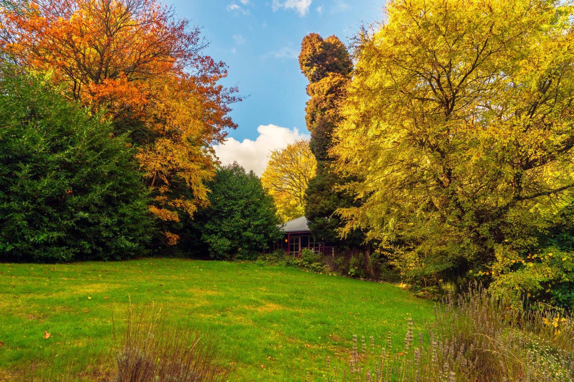Observatory Cottages Mount Dandenong Zimmer foto